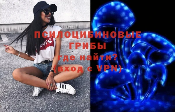 винт Алзамай