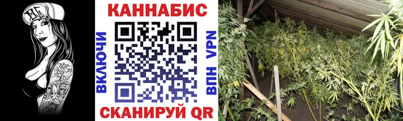 Конопля тримм  как найти закладки  Свирск 